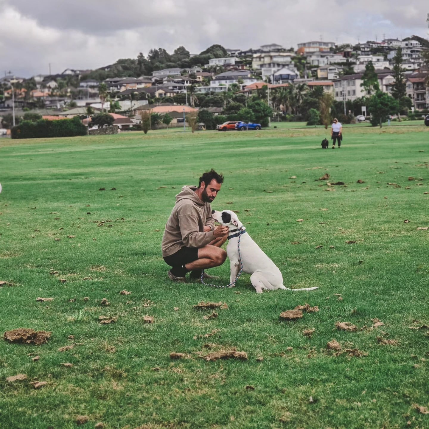 dog-training-blog-tips-advice-expert-training-articles