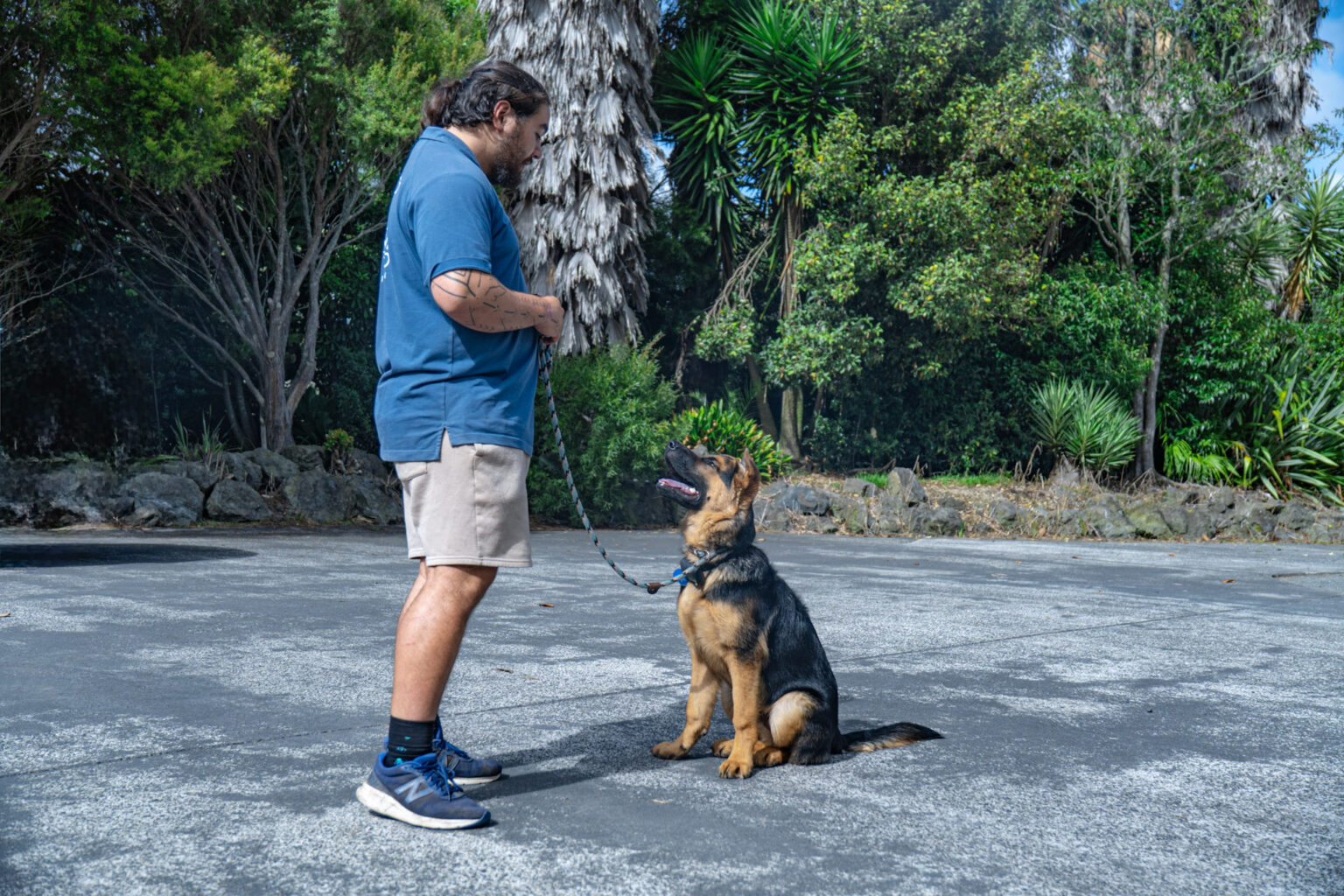 dog trainer with dog on leash in dog training action