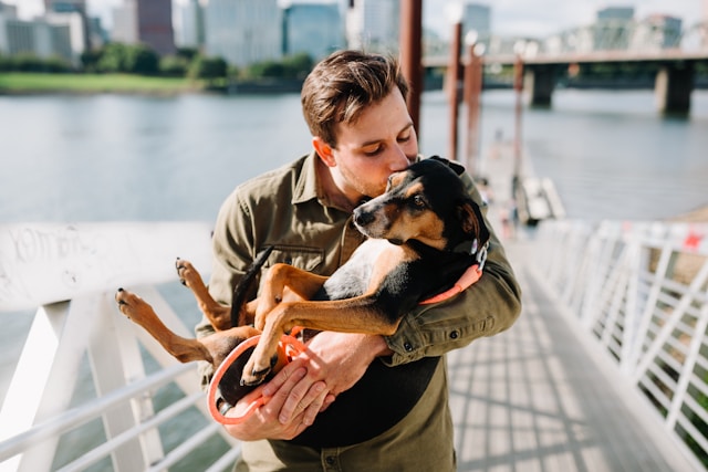 dog owner man kissing dog