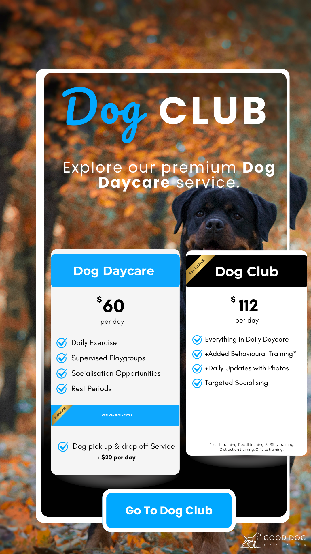 good dog training dog club service dog daycare premium mobile 2