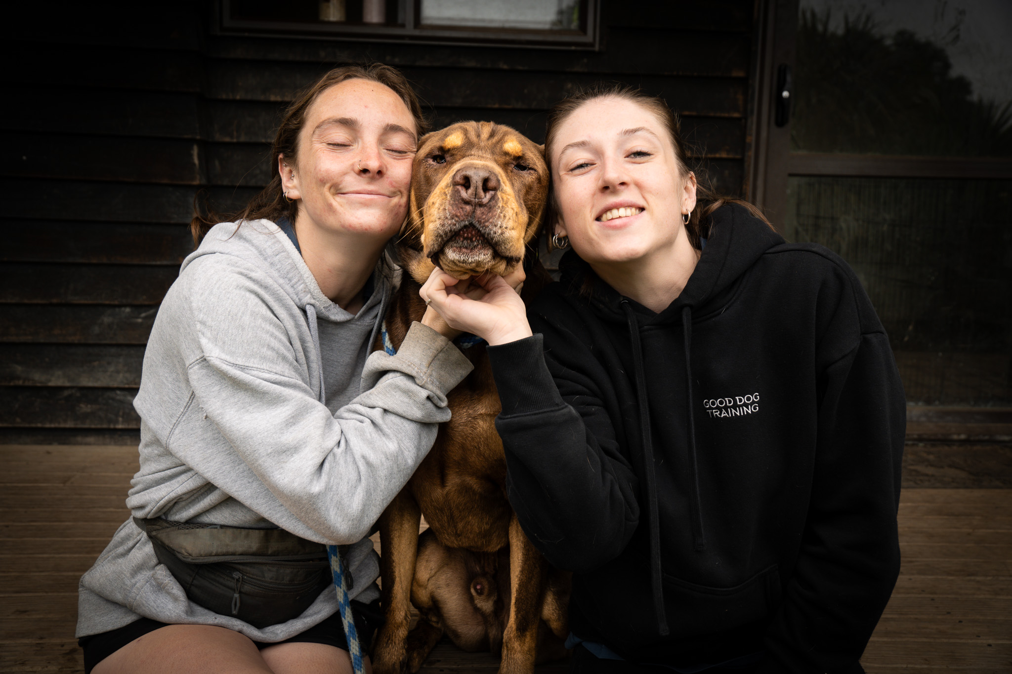 good dog training puppy training