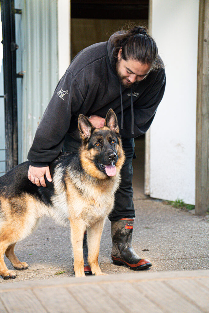 dog trainer and german shepherd