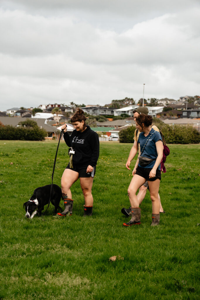 dog trainer walking with clients group class orewa new zealand good dog training